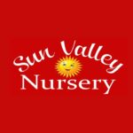 Sun Valley Yard Design